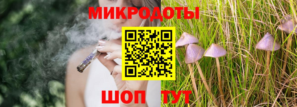 Электрогорск  Галлюциногенные грибы Psilocybe  Вход с VPN 